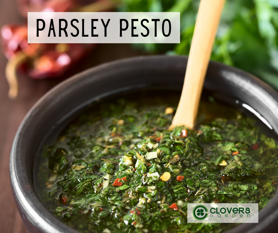 parsley pesto or chimichurri sauce