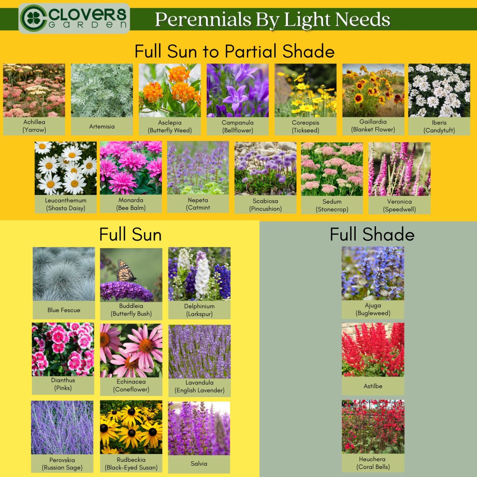 How to Plant a Perennial Flower Garden in Any Zone - Clovers Garden Tips